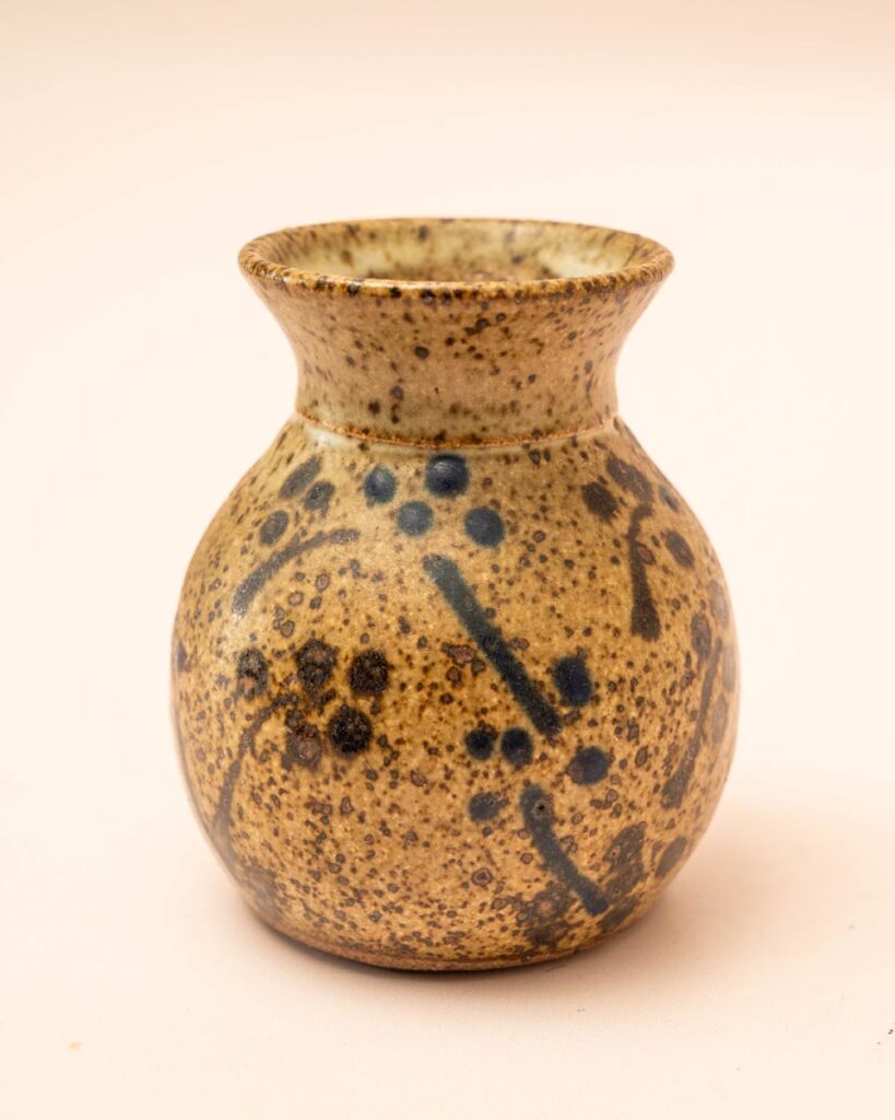 the-fox-and-some-vintage (D5 2025-0818)-4909