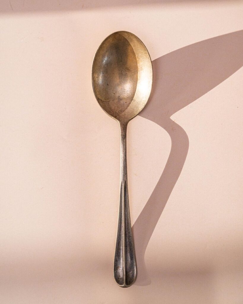 the-fox-and-some-vintage (D14 2025-0993)-6880