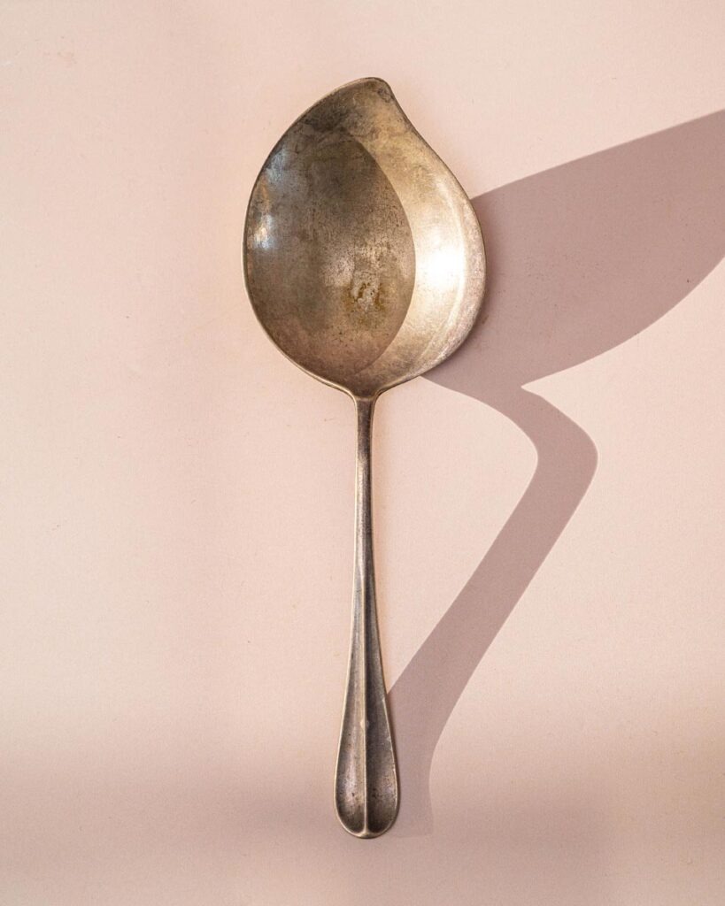 the-fox-and-some-vintage (D14 2025-0993)-6883