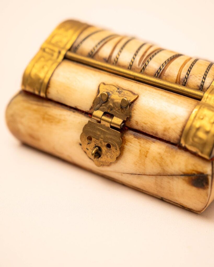 the-fox-and-some-vintage (D1 2026-0974)-7249