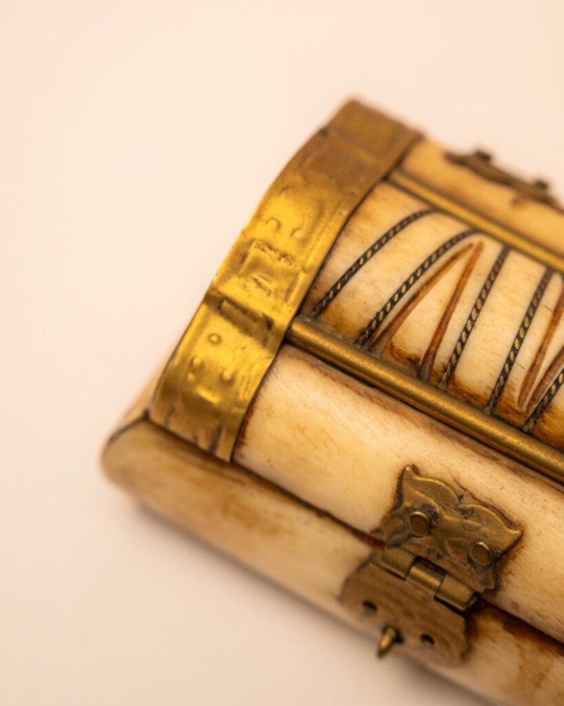 the-fox-and-some-vintage (D1 2026-0974)-7250