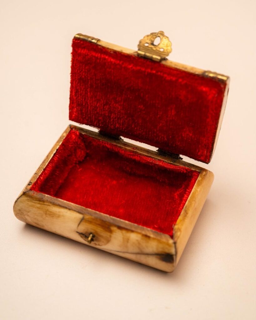 the-fox-and-some-vintage (D1 2026-0974)-7255