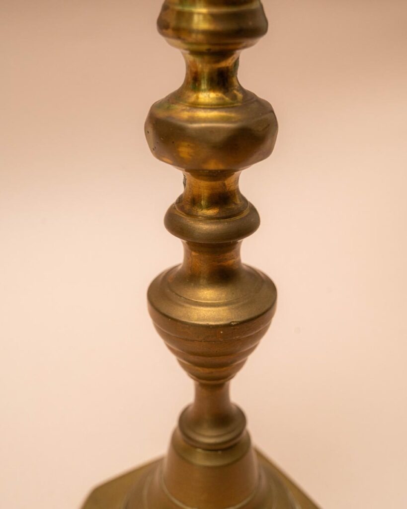 the-fox-and-some-vintage (D2 2026-0935)-7387