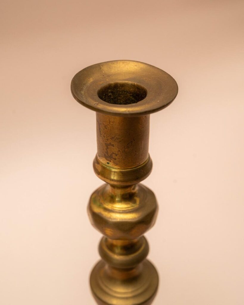 the-fox-and-some-vintage (D2 2026-0935)-7388