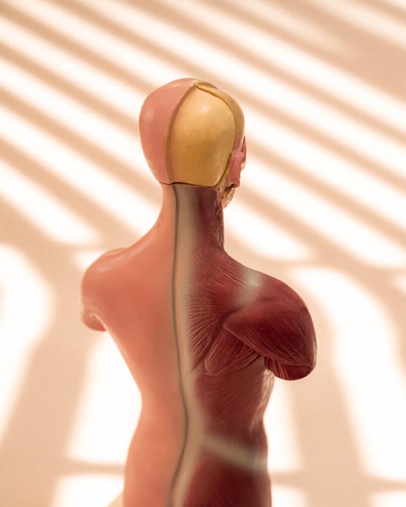 the-fox-and-some-vintage (D4 2026-0985)-7917