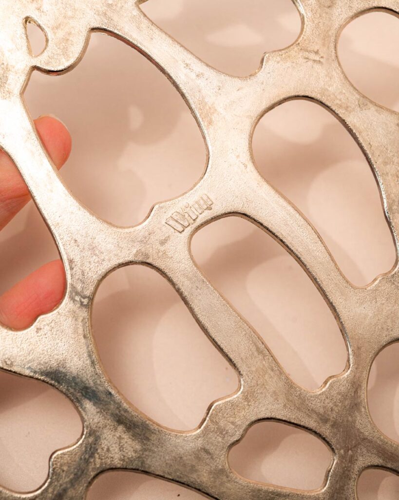 the-fox-and-some-vintage (D5 2026-0843)-8097