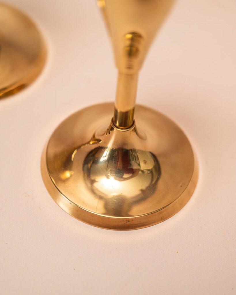 the-fox-and-some-vintage (D9 2026-1102)-8878