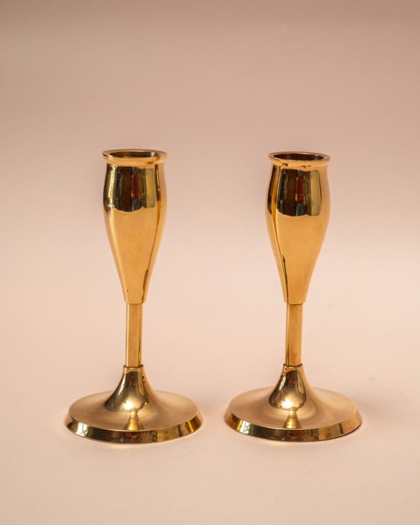 the-fox-and-some-vintage (D9 2026-1102)-8881