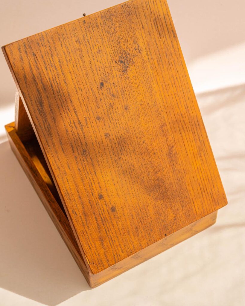 the-fox-and-some-vintage (D15 2026-1286)-0125