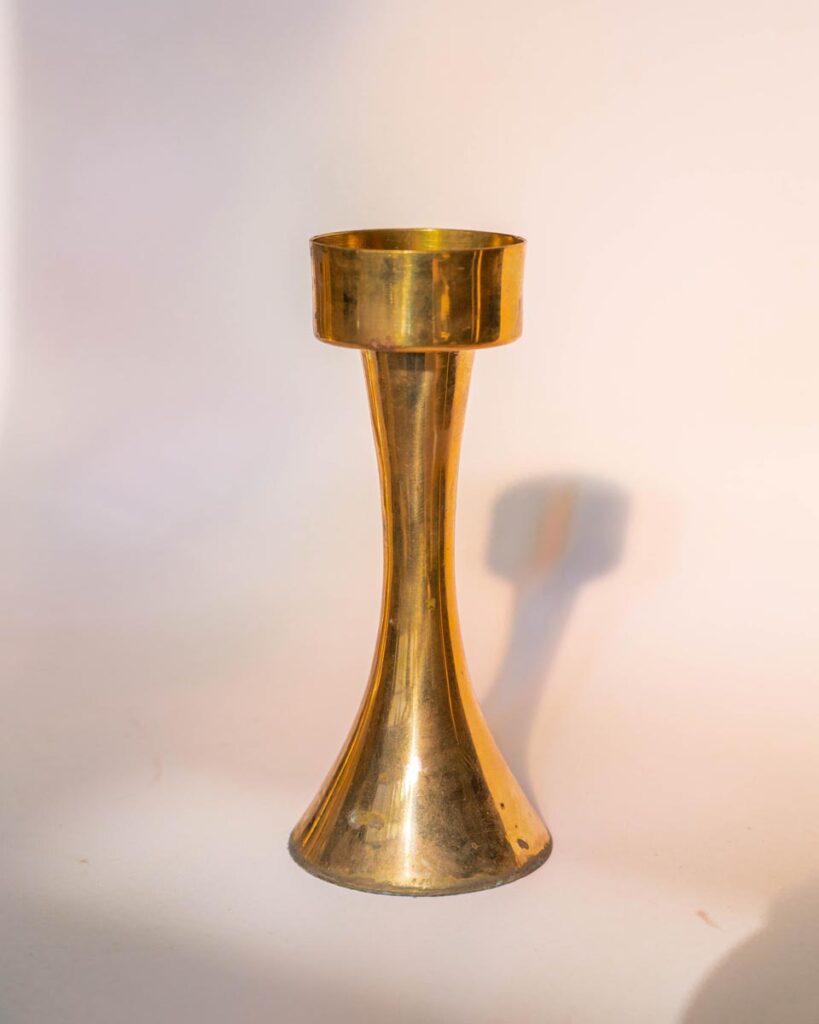 the-fox-and-some-vintage (D18 2026-1215)-0945