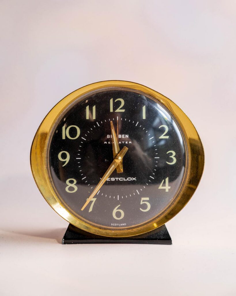the-fox-and-some-vintage (D19 2026-1412)-1576
