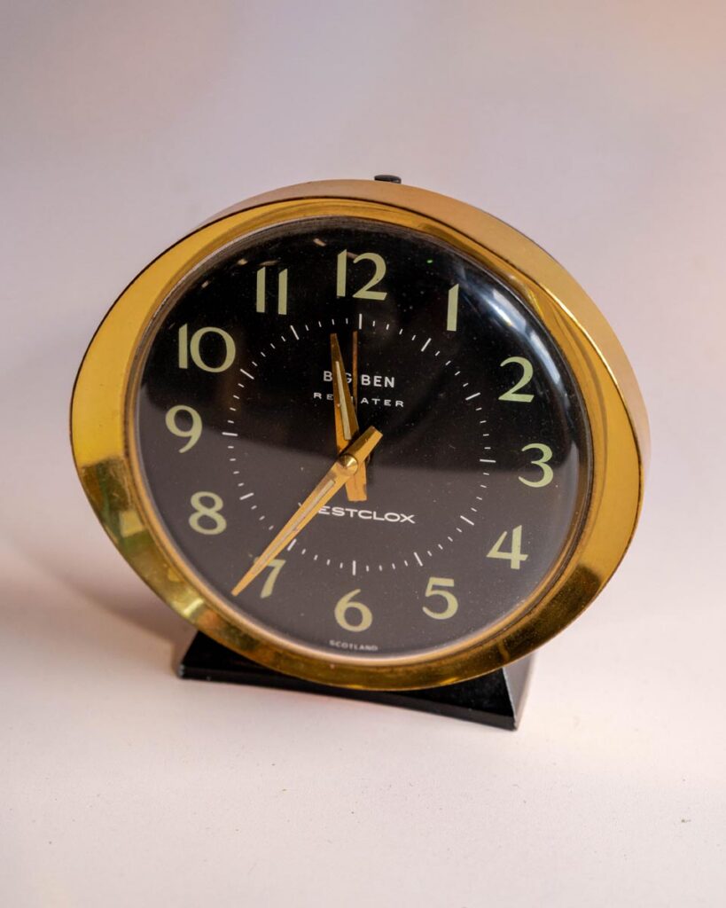the-fox-and-some-vintage (D19 2026-1412)-1577
