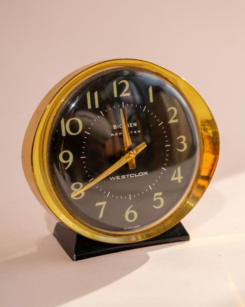 the-fox-and-some-vintage (D19 2026-1412)-1580